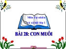 Bài giảng TNXH 1 bài 28: Con muỗi