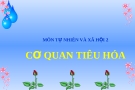 Bài giảng Cơ quan tiêu hóa - Tự nhiên xã hội 2 - GV. N.T.Sỹ