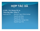 Tiểu luận: Hợp tác xã