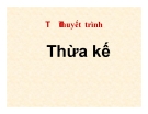 Thuyết minh: Thừa kế