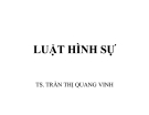 Bài giảng Luật hình sự - TS. Trần Thị Quang Vinh