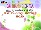 Bài giảng Máu và cơ quan tuần hoàn - Tự nhiên xã hội 3- GV. N.T.Sỹ