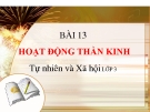 Bài giảng Hoạt động thần kinh - Tự nhiên xã hội 3- GV. N.T.Sỹ