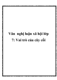 Văn nghị luận xã hội lớp 7: Vai trò của cây cối