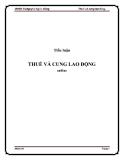 Tiểu luận: Thuế và cung lao động