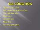 Bài giảng Gia công hóa