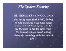 Bài giảng Tổng quan về Linux - Chương 11: File System Security