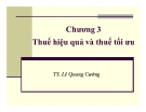 Bài giảng Phân tích chính sách thuế: Chương 3 - Ts. Lê Quang Cường