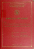 Khóa luận tốt nghiệp: Xử lý nợ xấu của ngân hàng Nhật Bản và bài học kinh nghiệm cho Việt Nam