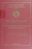 Khóa luận tốt nghiệp: Hoạt động đầu tư mạo hiểm trên thế giới và một số bài học kinh nghiệm cho Việt Nam