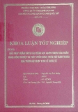 Khóa luận tốt nghiệp: Giải pháp nhằm nâng cao năng lực cạnh tranh của ngân hàng nông nghiệp và phát triển nông thôn Việt Nam trong quá trình hội nhập kinh tế quốc tế