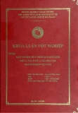 Khóa luận tốt nghiệp: Kinh nghiệm phát triển doanh nghiệp nhỏ và vừa ở Mỹ và bài học cho doanh nghiệp Việt Nam