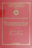 Khóa luận tốt nghiệp: Nâng cao năng lực cạnh tranh của các doang nghiệp xuất khẩu Việt Nam trong tiến trình hội nhập