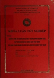 Khóa luận tốt nghiệp: Chiến lược đa dạng hóa hoạt động kinh doanh của tập đoàn dầu khí quốc gia Việt Nam. Bài học kinh nghiệm cho các doanh nghiệp Việt Nam