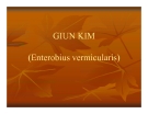 Bài giảng Giun kim (Enterobius vermicularis)