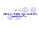 Bài giảng Công nghệ 7 bài 27: Chăm sóc rừng sau khi trồng