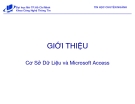 Bài giảng Giới thiệu cơ sở dữ liệu và Microsoft  Access - ĐH Mở TP.Hồ Chí Minh