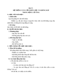 Bài 27: Hệ thống cung cấp nhiên liệu và không khí trong động cơ xăng - Giáo án Công nghệ 11 - GV:N.N.Viên