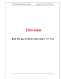 Tiểu luận: Rửa tiền qua hệ thống Ngân hàng ở Việt Nam