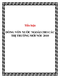 Tiểu luận: Dòng vốn nước ngoài cho các thị trường mới nổi 2010