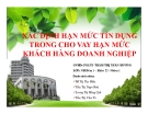 Thuyết trình: Xác định hạn mức tín dụng trong cho vay hạn mức khách hàng doanh nghiệp