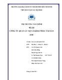 Tiểu luận: Công ty quản lý nợ và khai thác tài sản AMC