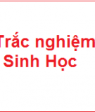 Trắc nghiệm Sinh học: Gen, mã di truyền và quá trình nhân đôi ADN