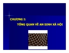 Bài giảng An sinh xã hội: Chương 1