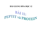Bài giảng Hóa học 12 bài 11: Peptit và protein