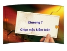 Bài giảng môn Lý thuyết kiểm toán: Chương 7