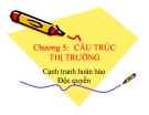 Bài giảng Kinh tế học vi mô và ứng dụng: Chương 5