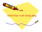 Bài giảng Kinh tế học vi mô và ứng dụng: Chương 1