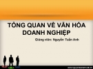 Bài giảng Tổng quan về Văn hóa doanh nghiệp - GV. Nguyễn Tuấn Anh