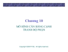 Bài giảng Lý thuyết kinh tế học vi mô: Chương 10 - GV. Đinh Thiện Đức