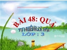 Bài giảng Qủa - Tự nhiên xã hội 3- GV. Đ.T.Lý