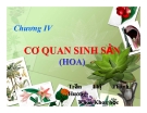 Bài giảng chương 4: Cơ quan sinh sản (Hoa) - GV: Trần Thị Thanh Hương