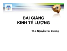 Bài giảng Kinh tế lượng: Chương 1 - Th.s Nguyễn Hải Dương