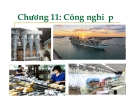 Bài giảng kinh tế Việt Nam: Chương 11 - ThS. Nguyễn Thị Vi