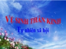 Bài 15: Vệ sinh thần kinh - Bài giảng điện tử Tự nhiên xã hội 3 - T.B.Minh