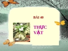 Bài 40: Thực vật - Bài giảng điện tử Tự nhiên xã hội 3 - T.B.Minh