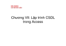 Bài giảng Cơ sở dữ liệu: Chương VII - Lập trình CSDL trong Access