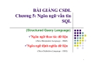 Bài giảng CSDL: Chương 5 - Ngôn ngữ vấn tin SQL