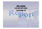 Bài giảng Cơ sở dữ liệu: Chương IV - Report