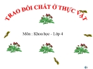 Slide bài Trao đổi chất ở thực vật - Khoa học 4 - GV.B.N.Kha