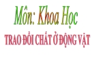 Slide bài Trao đổi chất ở động vật - Khoa học 4 - GV.B.N.Kha