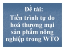 Tiểu luận:Tiến trình tự do hoá thương mại thương sản phẩm nông nghiệp trong WTO