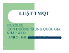 Tiểu luận: Con đường Trung Quốc gia nhập WTO