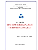 Bài tập lớn: Tính toán thiết kế và phân tích độ tin cậy của dầm