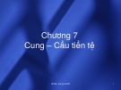 Bài giảng Lý thuyết tiền tệ: Bài 7 - Cung - Cầu tiền tệ