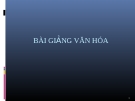 Bài giảng văn hóa